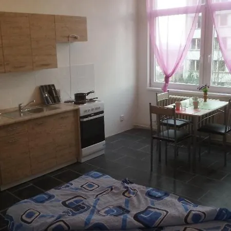 Beta House Διαμέρισμα Litvínov